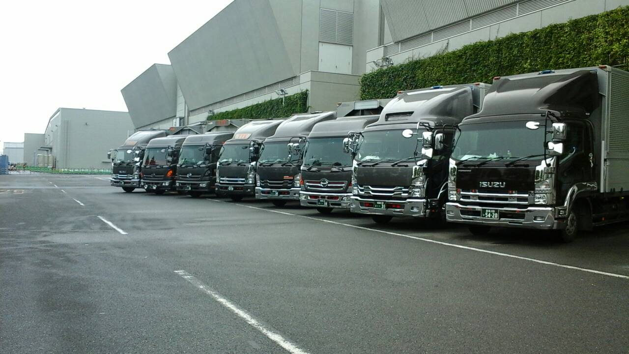 MV1